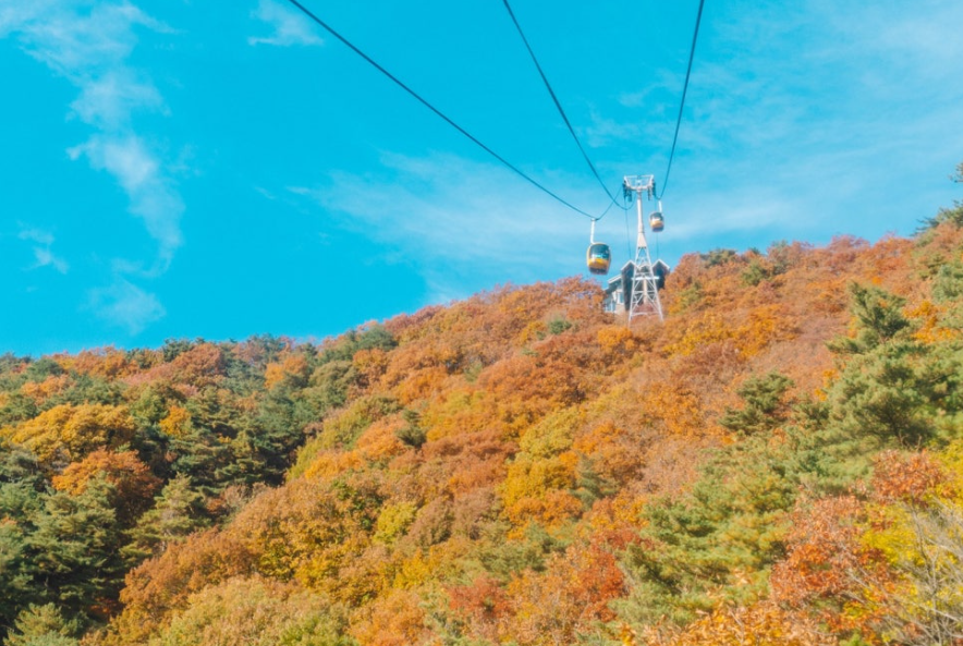 팔공산케이블카