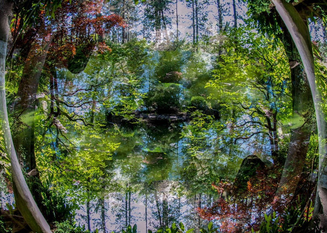 Exposure