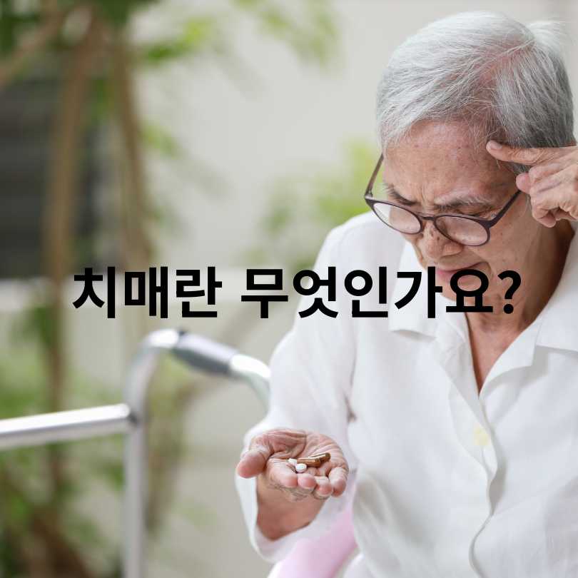 알츠하이머 치매와 혈관성 치매의 차이점