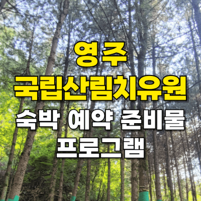 영주 국립산림치유원 카드뉴스
