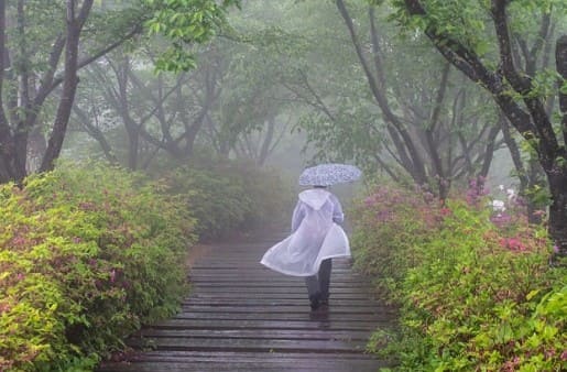 서울하늘공원