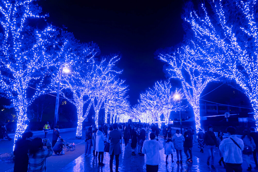 시부야푸른동굴