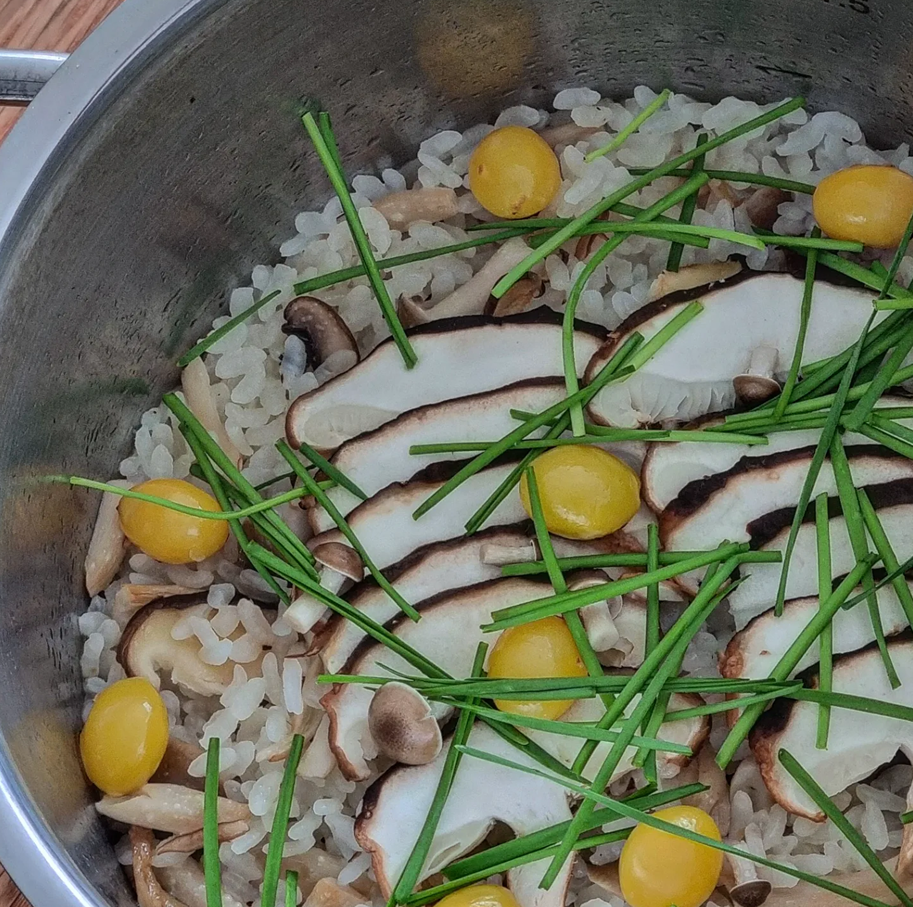 휘슬러-스텐냄비로-지은-버섯솥밥