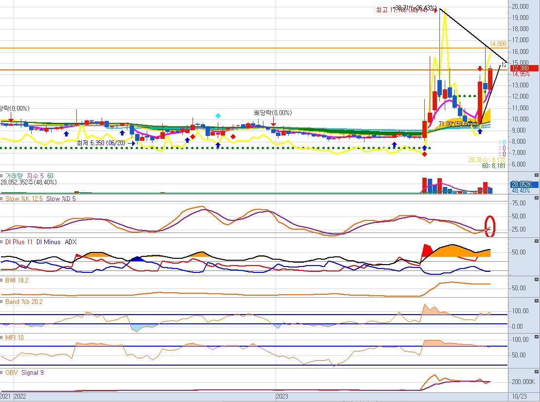LS전선아시아 주봉