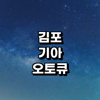 김포시 기아 오토큐