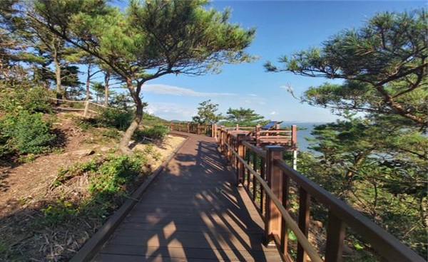 장봉도 트레킹 코스