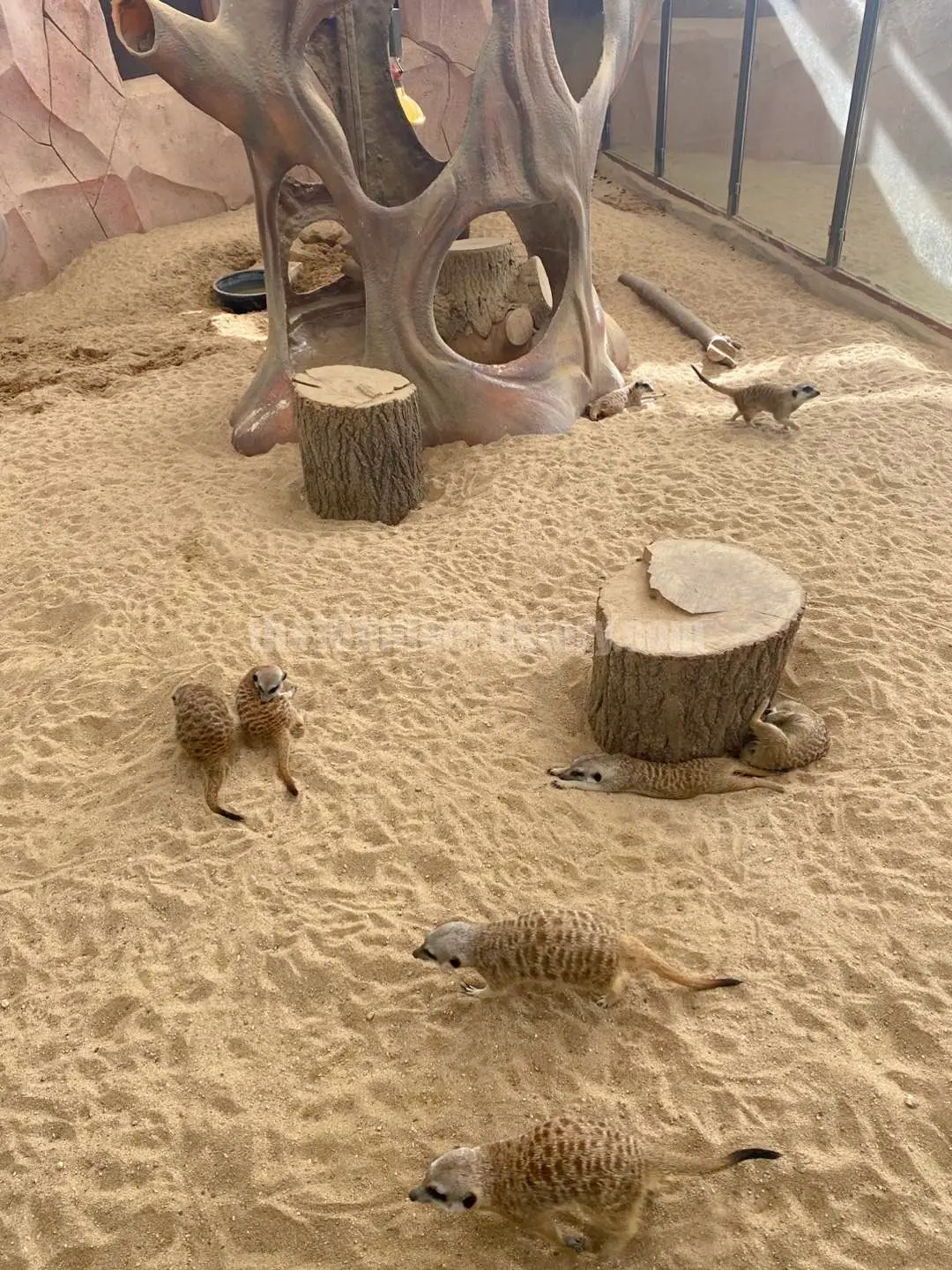 경남 의령 &amp;#39;의령 곤충생태학습관&amp;#39; (1층 &amp;#39;사막관&amp;#39;&amp;#44; &amp;#39;열대관&amp;#39;)