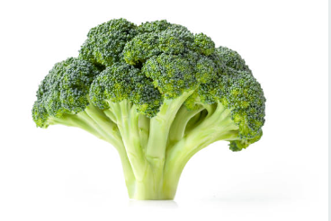 다이어트 브로콜리