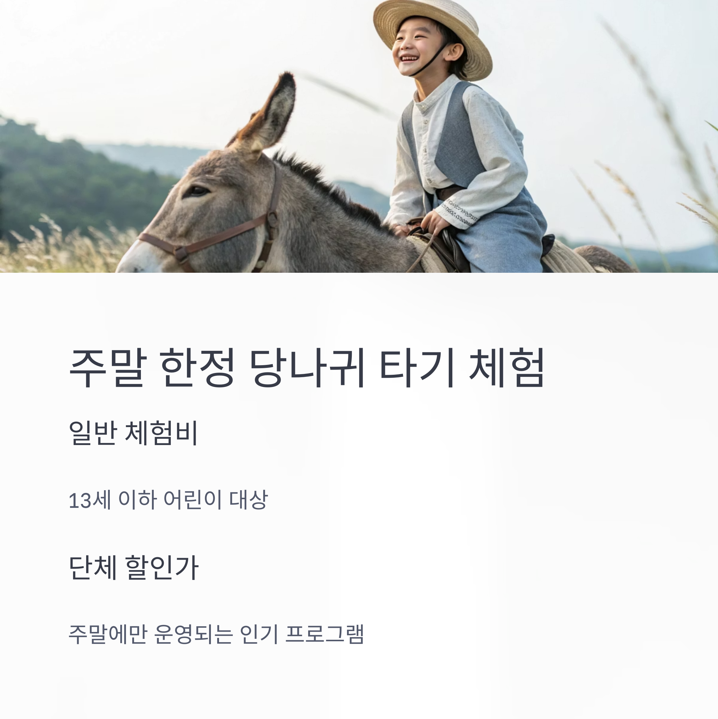 주말 한정 당나귀 타기 체험