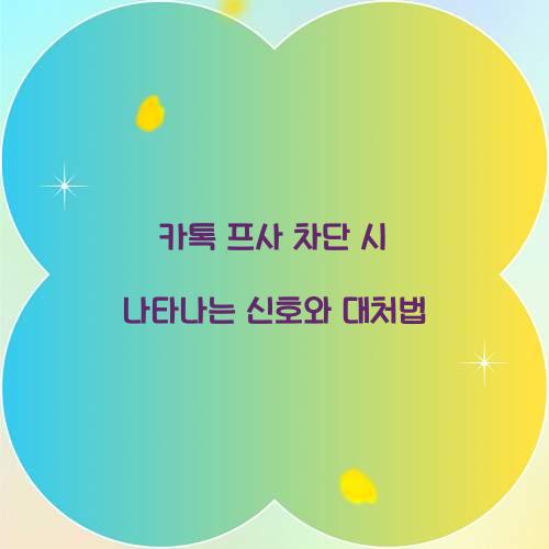 카톡 프사 차단