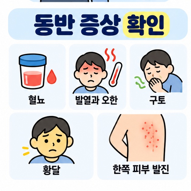 신장결석, 신우신염, 충수염, 담석증, 대상포진의 대표적인 동반 증상을 비교해 보여주는 카드