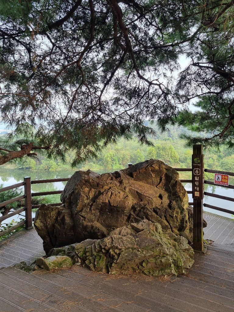 충주 가볼만한곳 베스트10