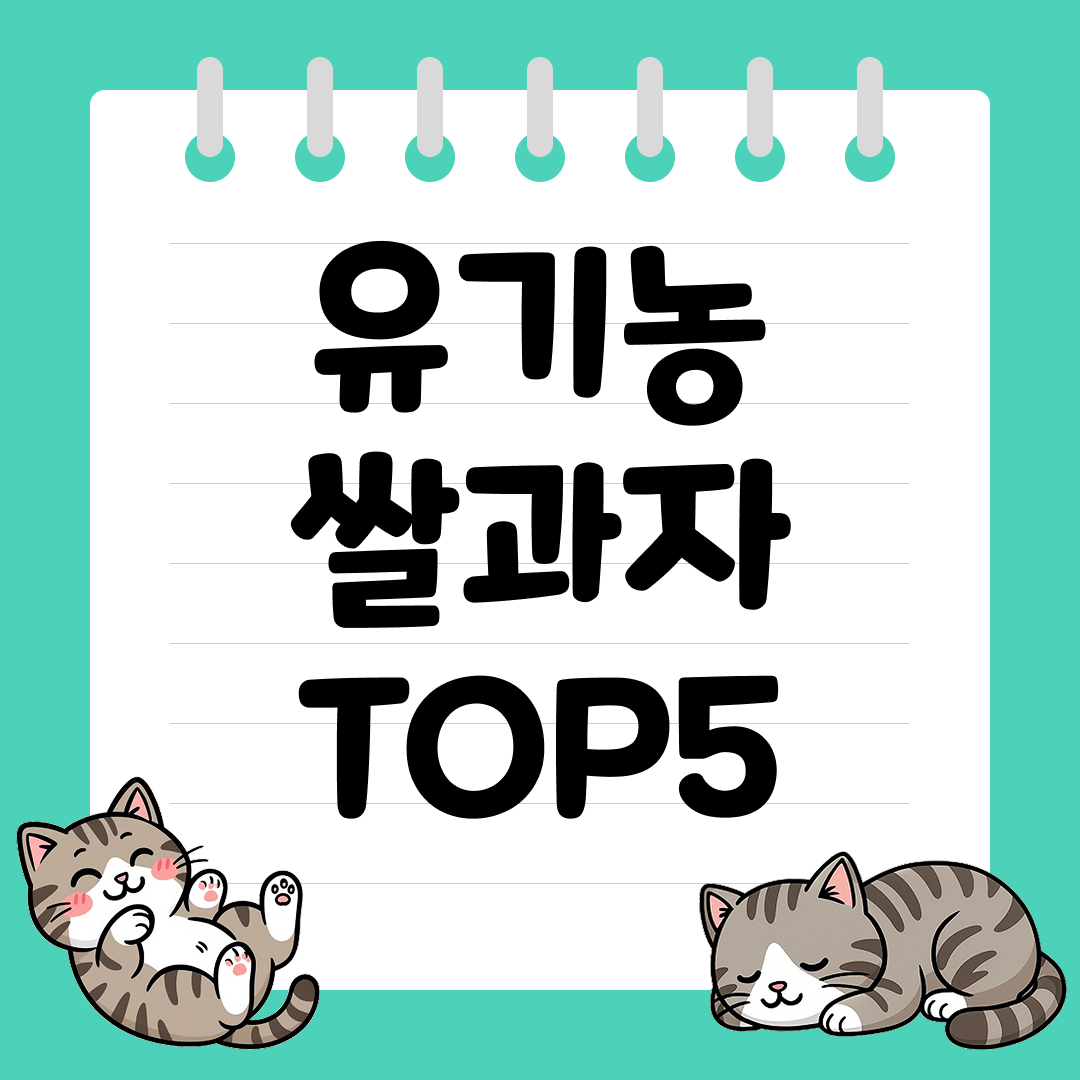 아이 간식으로 성분까지 신경 쓴 유기농 쌀과자 추천 순위 TOP5