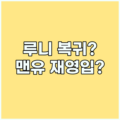다시 뛰는 데 헤아? 루니, 맨유에 