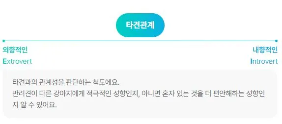 DBTI-강아지-타견관계