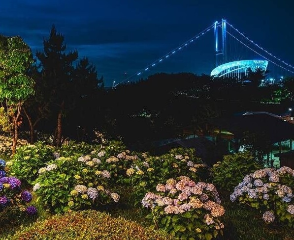 2026 장생포 수국 페스티벌