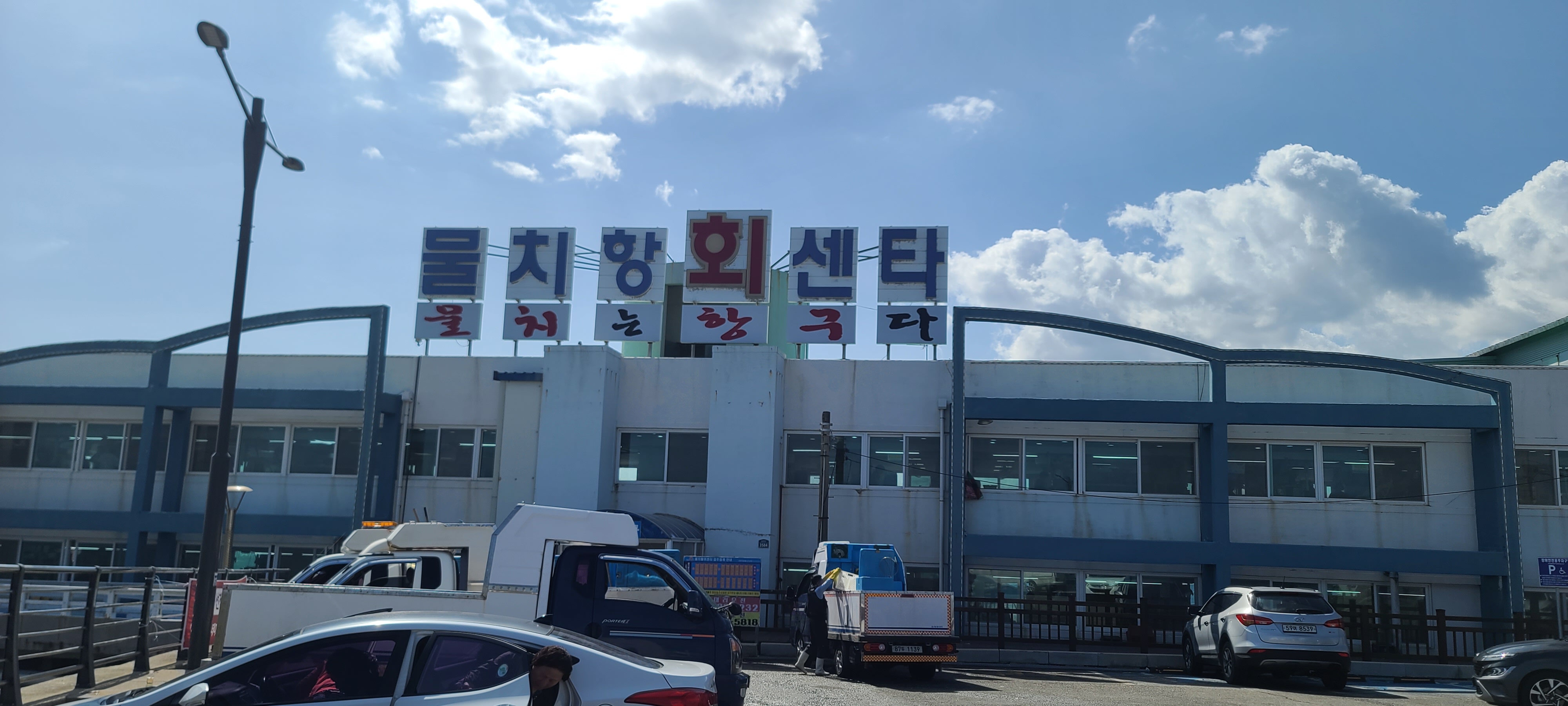 강원도 활어회 물치항회센터 도다리회 광어회 물치항 주차장