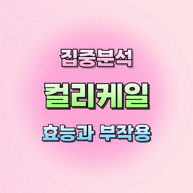 컬리케일효능