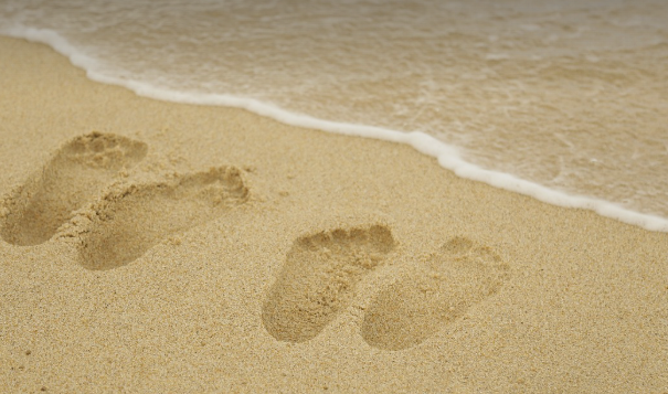 모래사장의 모습