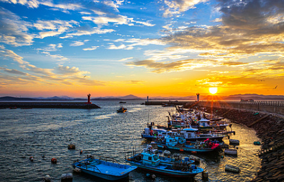 서천 동백꽃 주꾸미축제