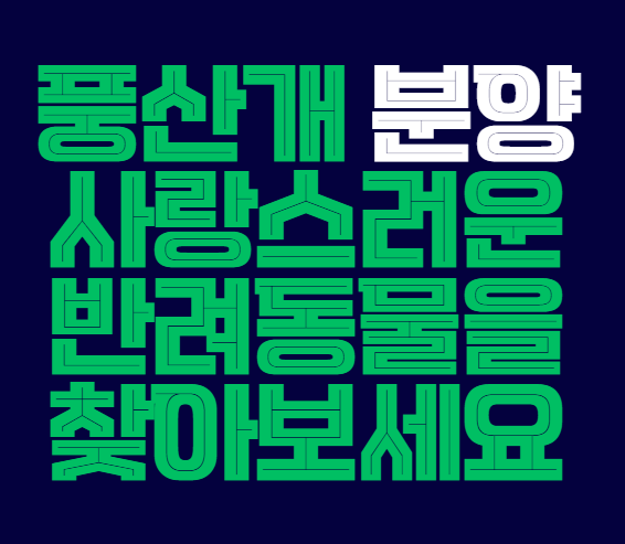 풍산개_분양