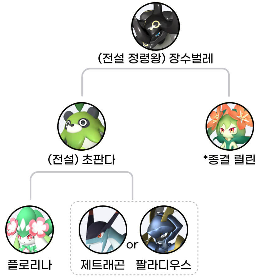 장수벌레 교배 가이드