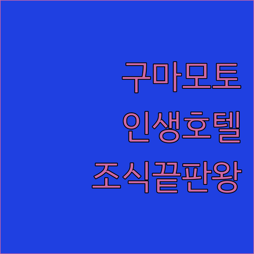 구마모토 호텔 추천 4곳 위치와 객실..