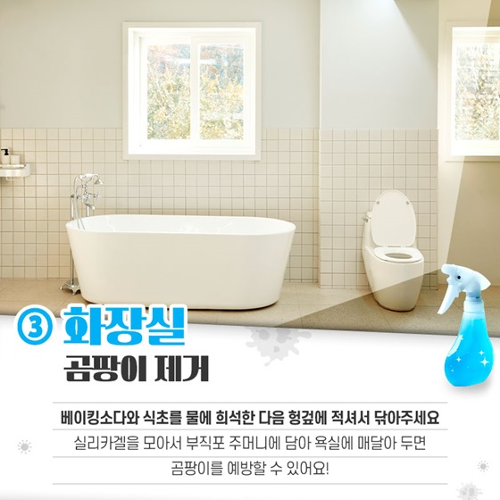 옷, 거실, 방, 화장실, 주방, 욕실, 에어컨 등 곰팡이 제거하는 5가지 방법