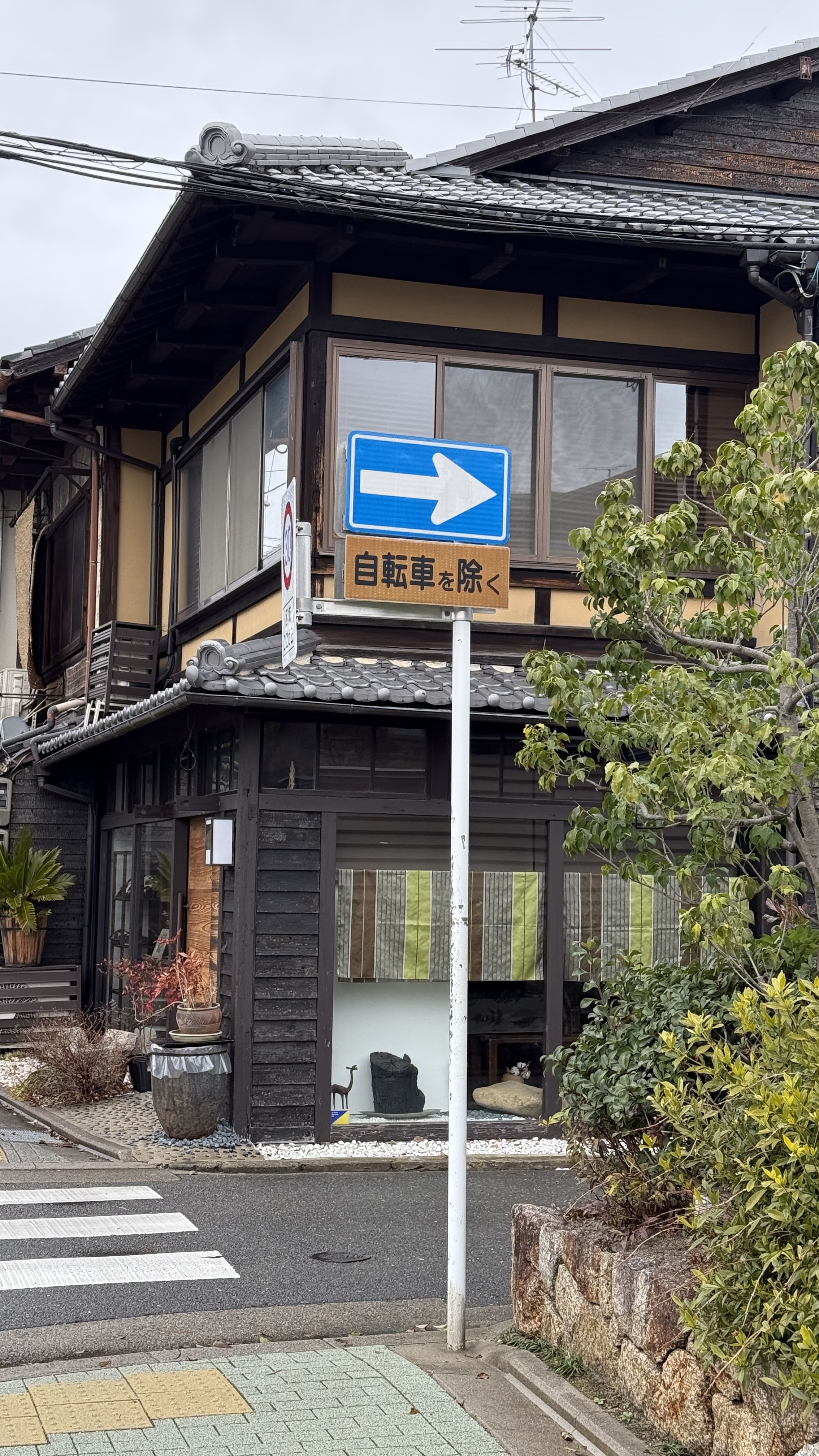 교토-꼭-가봐야-할-곳-미슐랭 우동 맛집 야마모토 멘조- 에이칸도-젠린지-ZENRIN-JI-벚꽃 여행