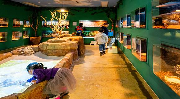 아르티스테마파크