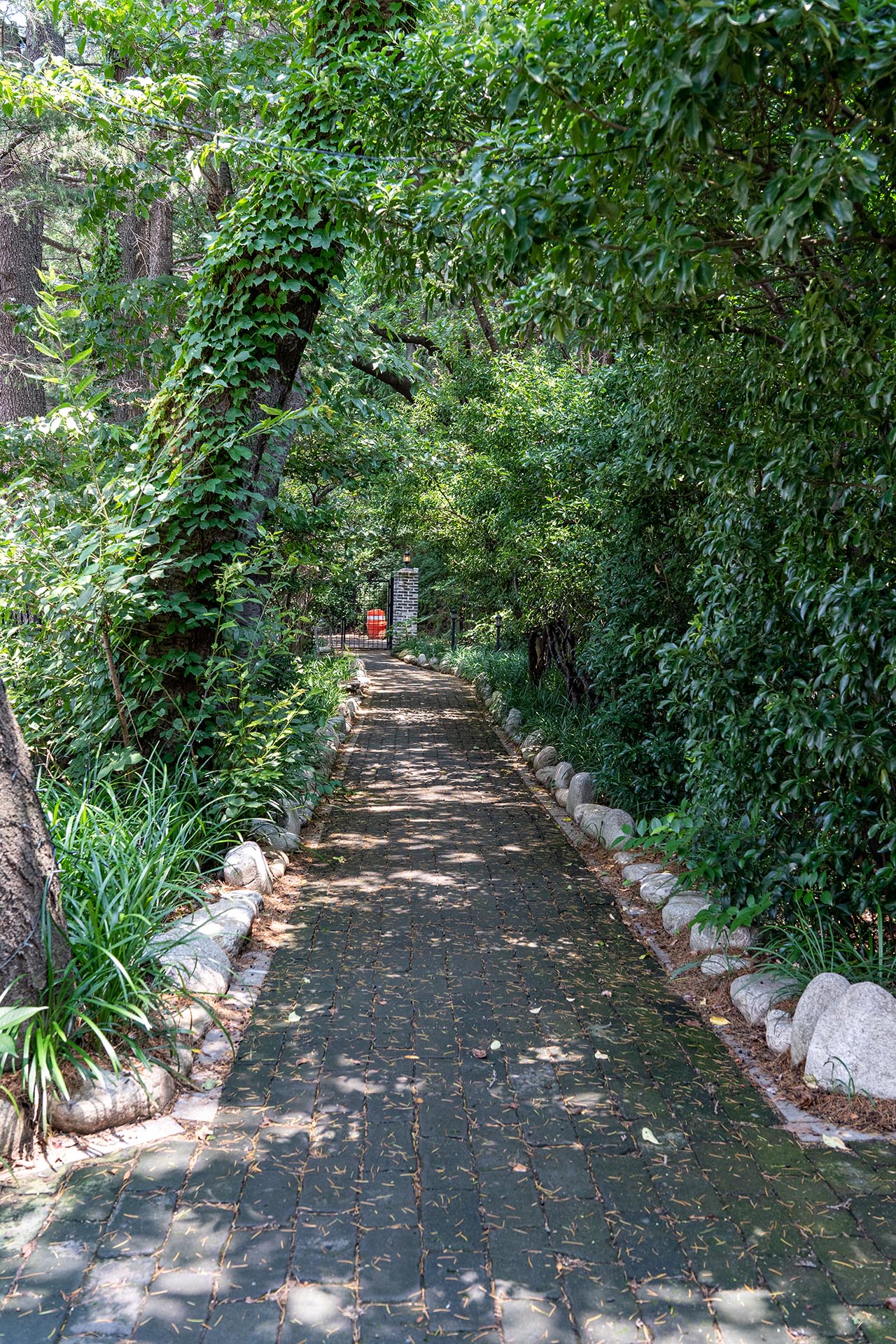 괴정 카페 만디