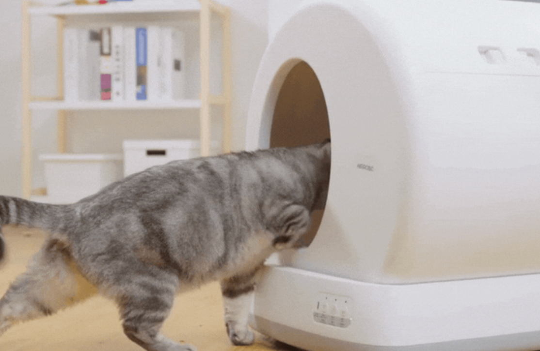 디클펫 고양이 자동 화장실
