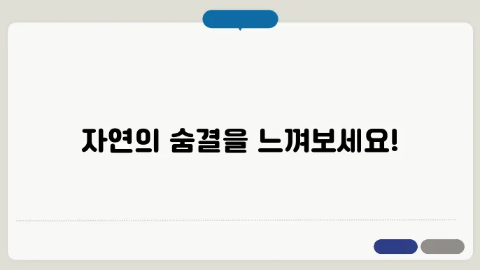 자연휴양림에 대한 자세한 정보를 확인해 보기