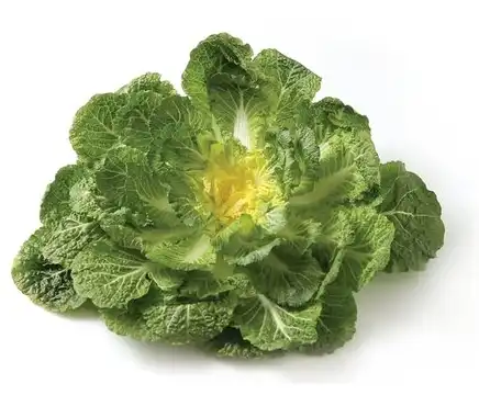 봄동-포기-이미지