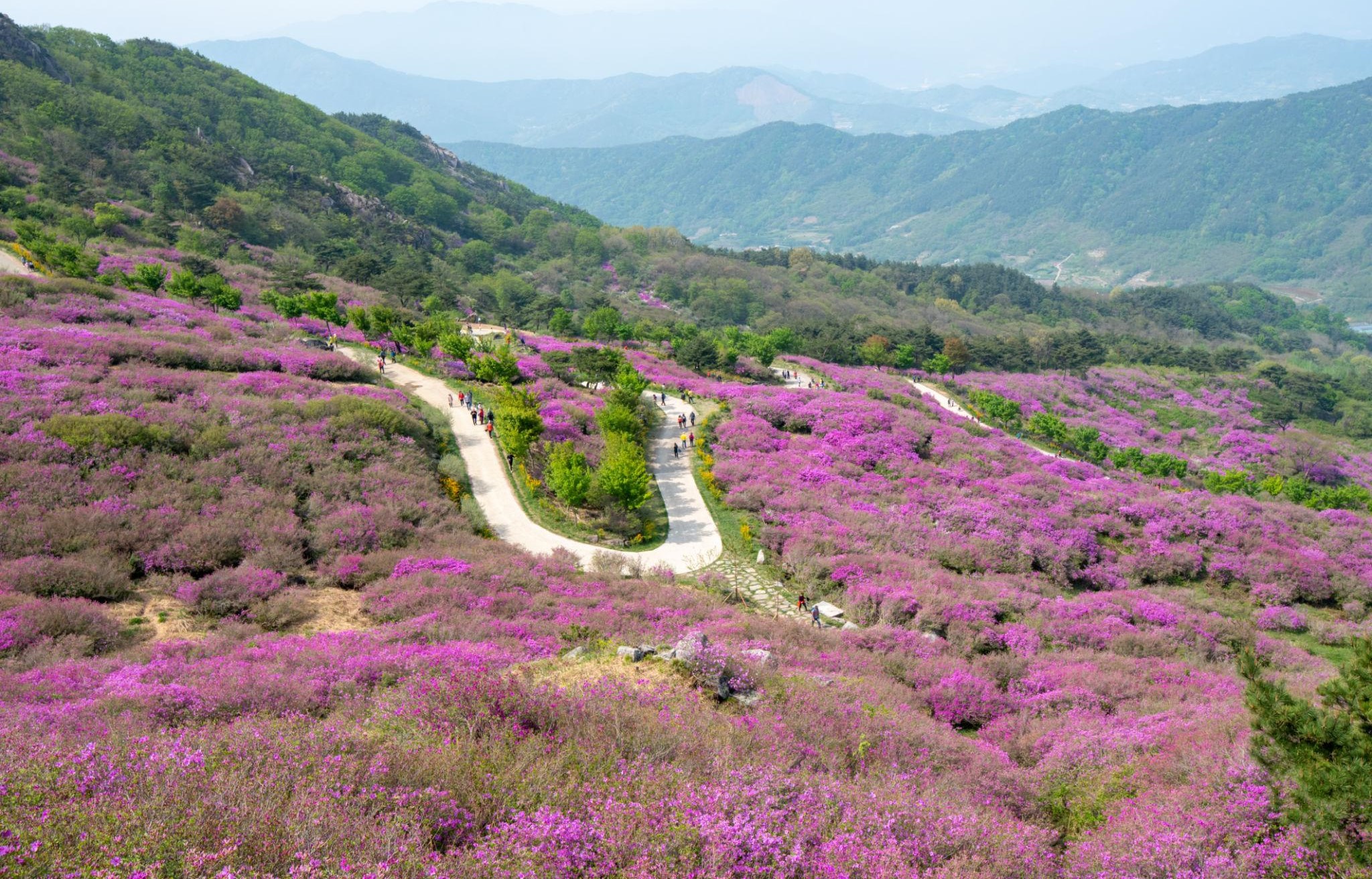 강화 고려산