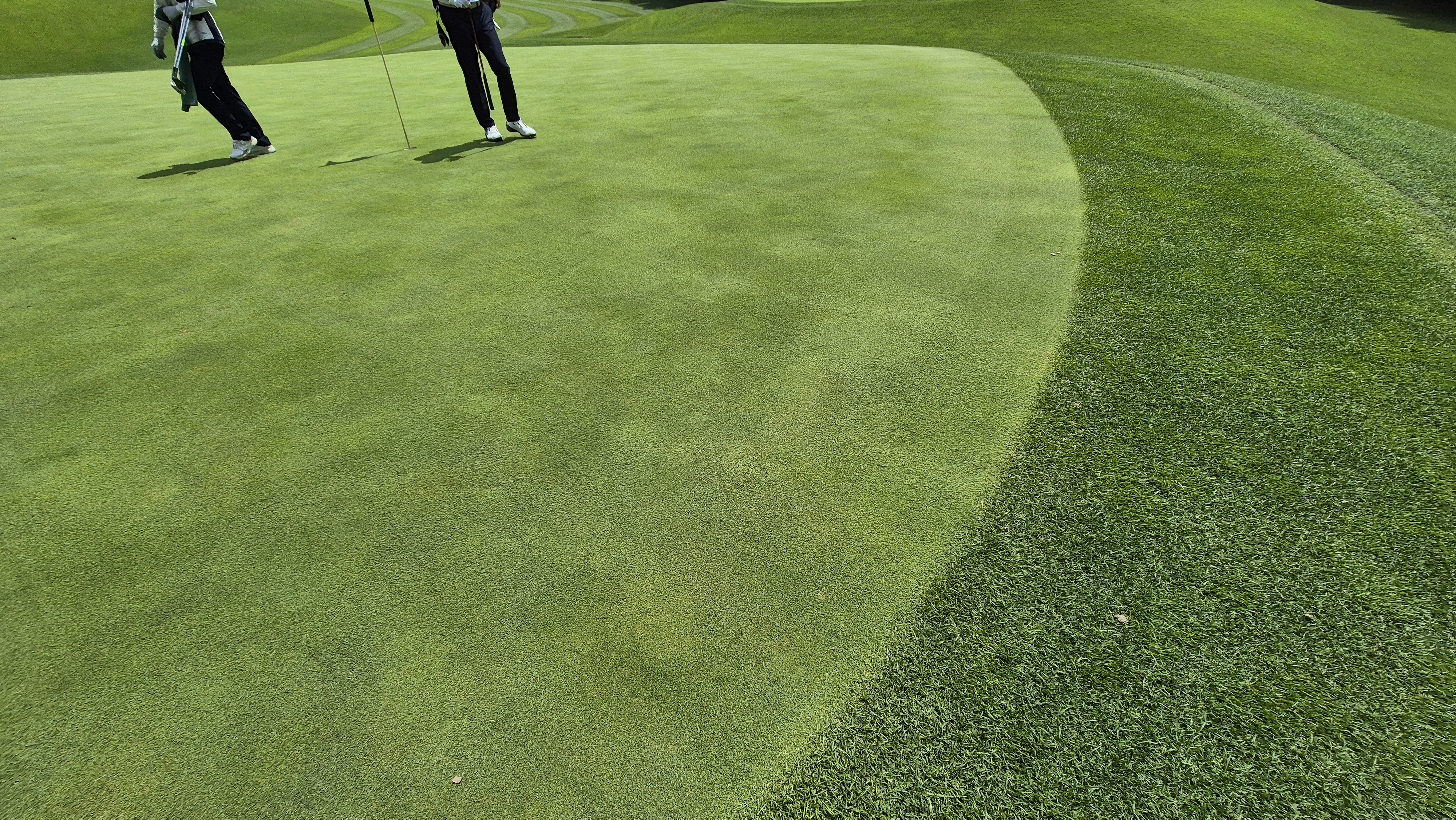 한성cc 오렌지-그린 코스 라운드 후기