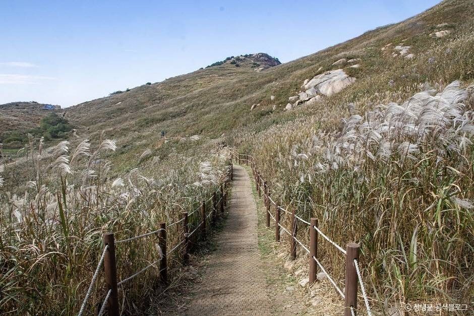 창녕 가볼만한곳 베스트10