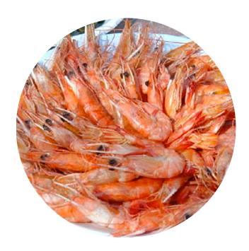 홍성남당항대하축제 기본정보