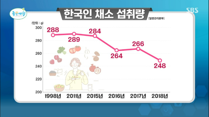식이섬유 효능 하루 권장 섭취량