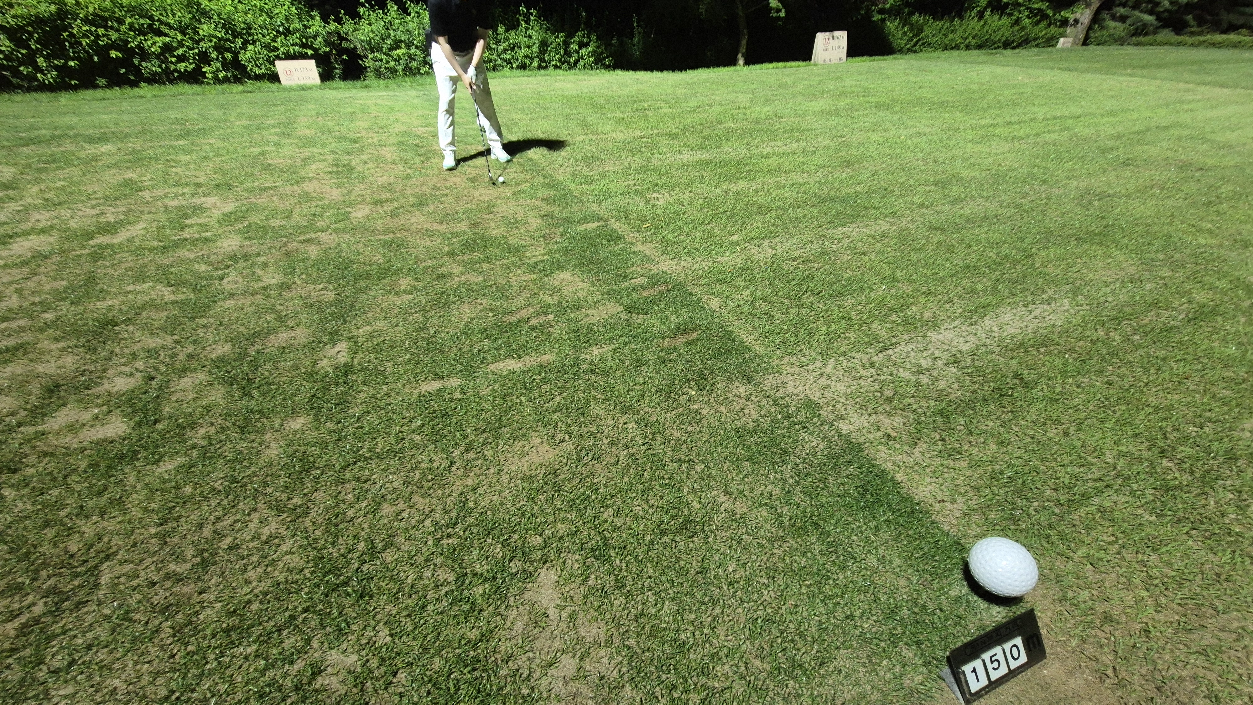 이포cc 라운드 후기