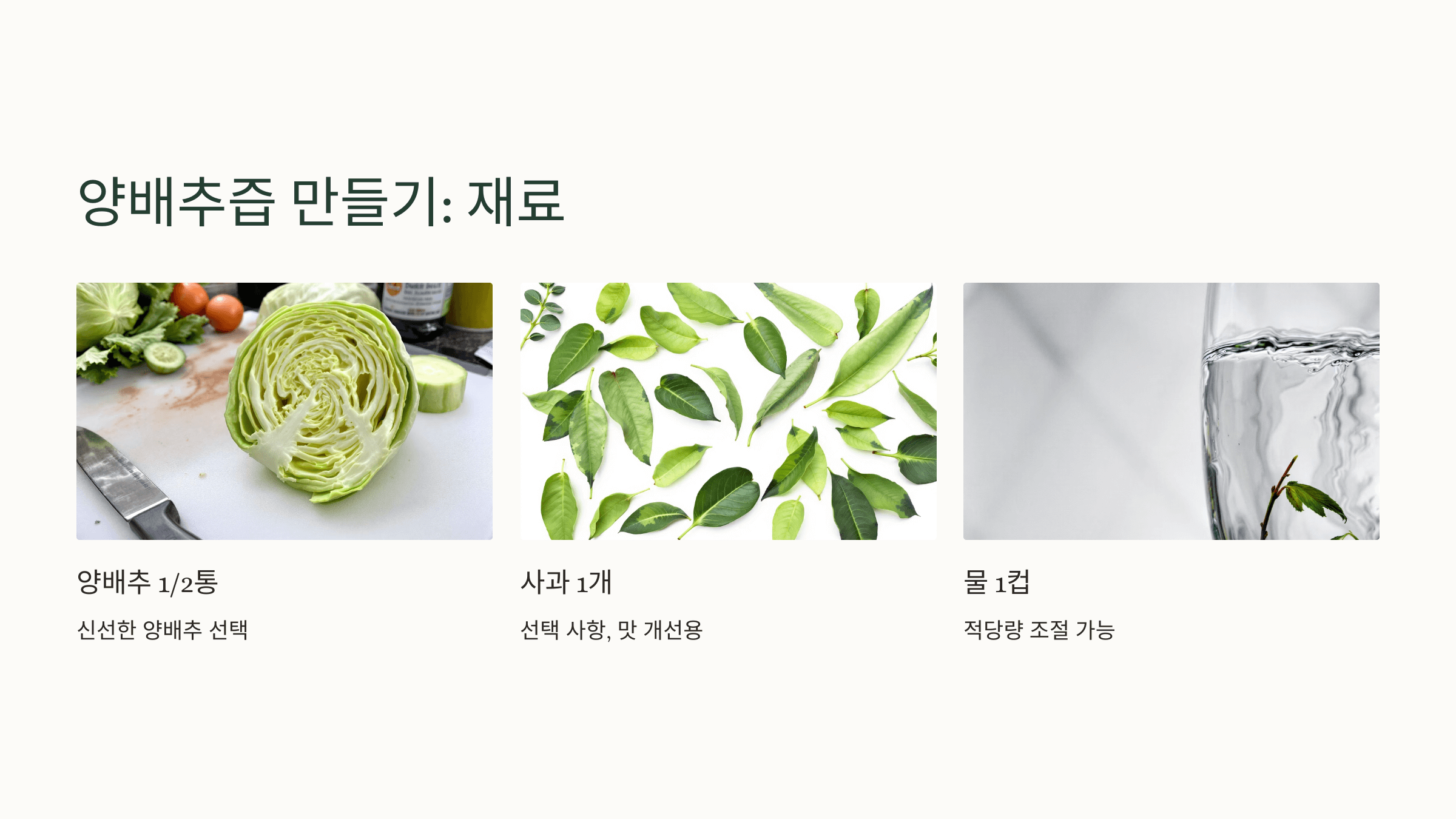 양배추 사진입니다.