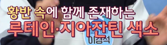 루테인 지아잔틴