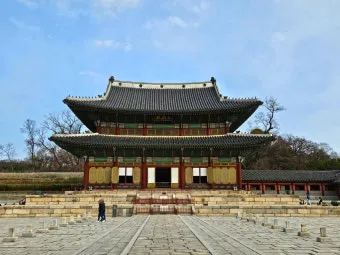 창덕궁 봄 꽃 개화 시기 근처 맛집 10선_3