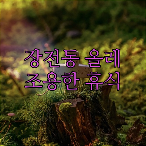 부산 장전동 올레 사용자 추가 지침...