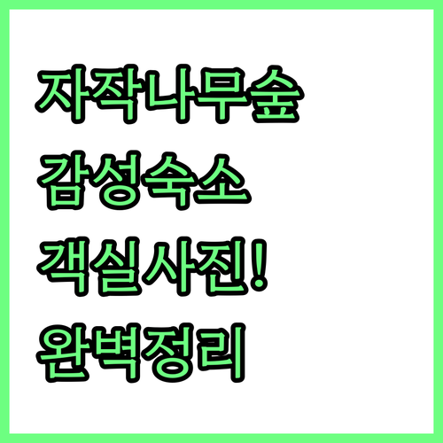 자작나무 숲 근처 인제 숙소 추천 리..