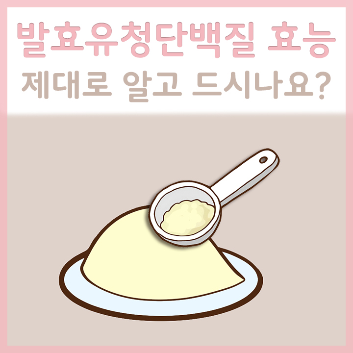 발효유청단백질