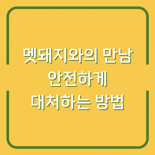 멧돼지와의 만남 안전하게 대처하는 방법