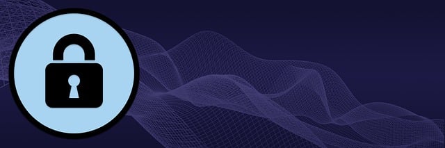 자물쇠 보안