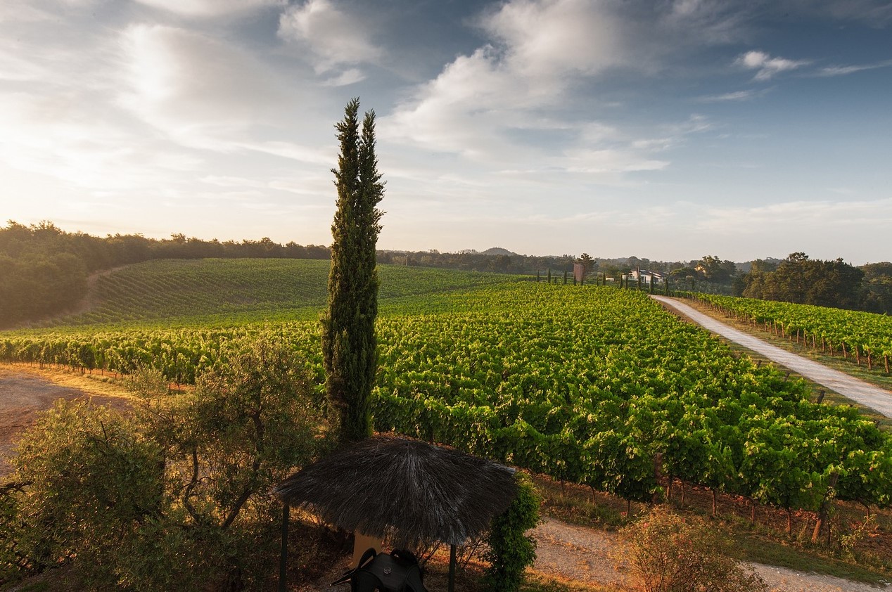 이탈리아-토스카나-와인