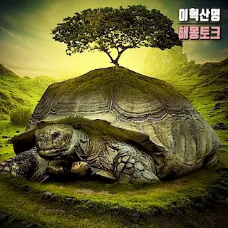 강-바다-거북이-만나는-꿈-해몽-turtle